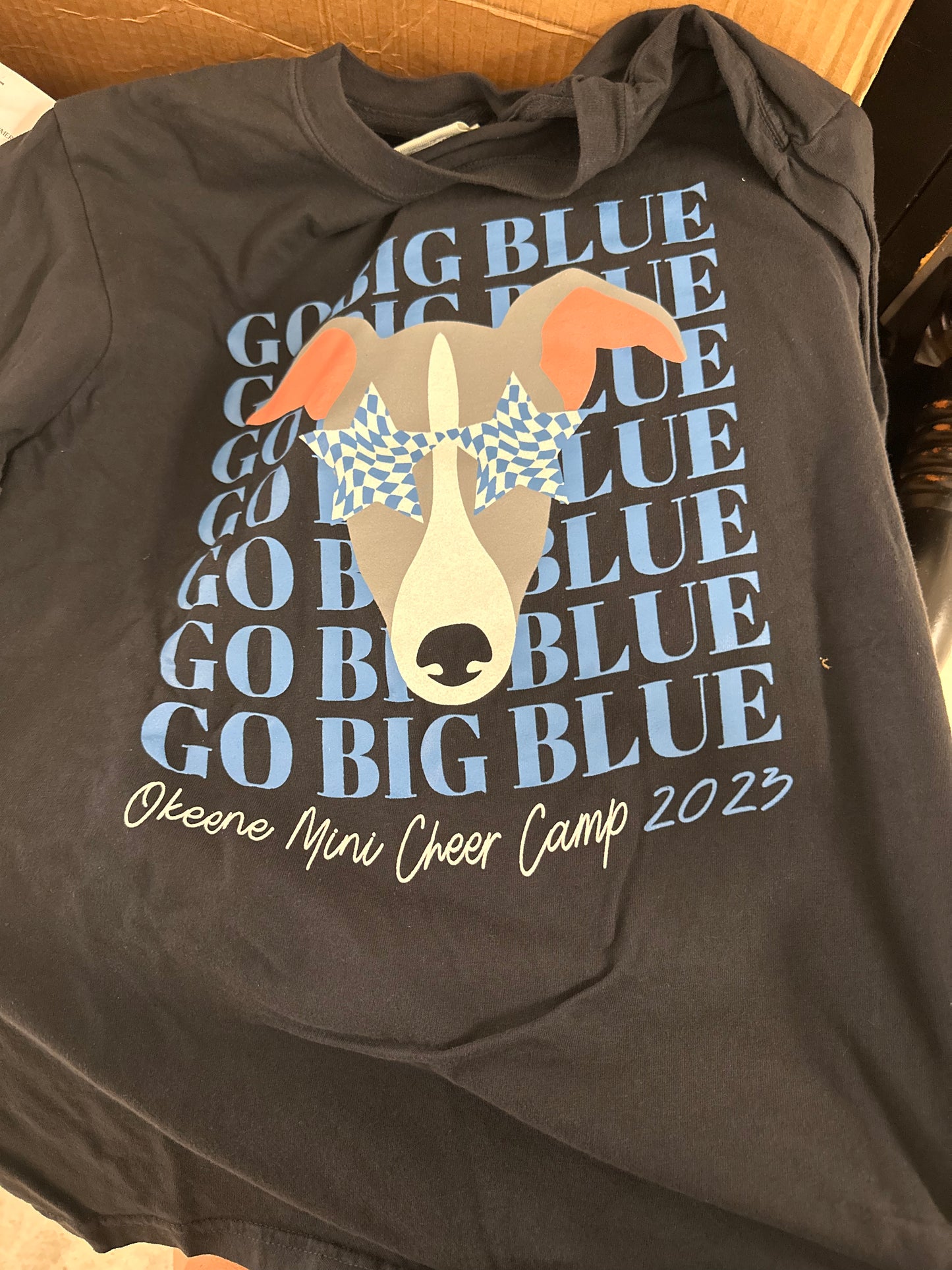 Go Big Blue