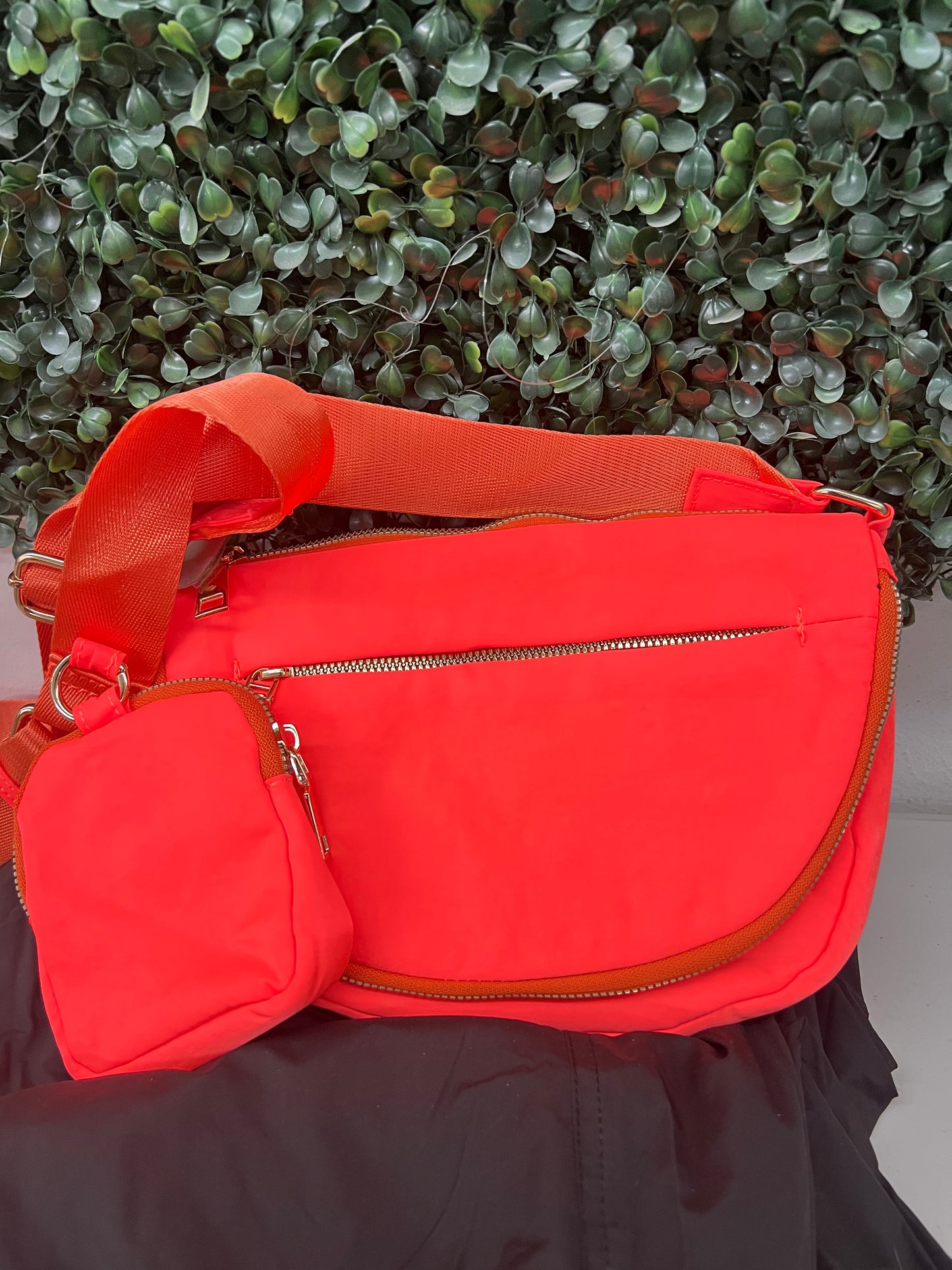 Lulu Dupe